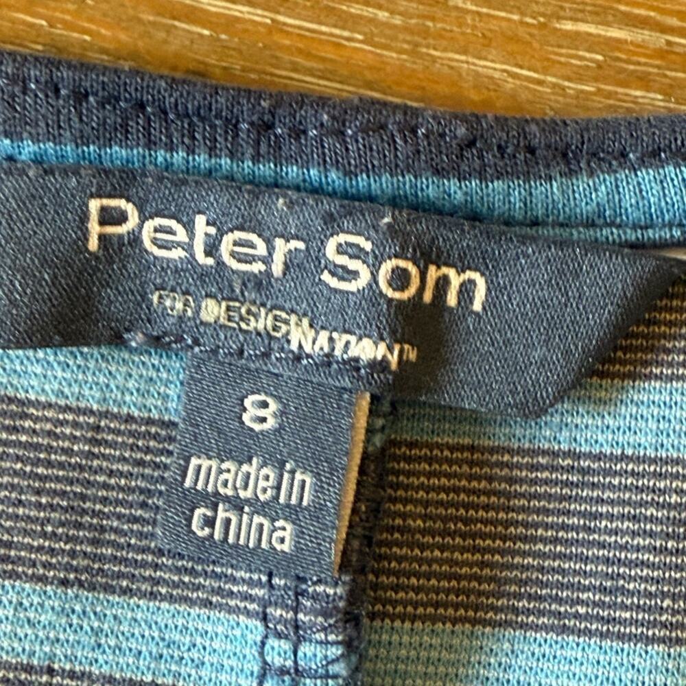PETER SOM Design Nation Blue Striped Fit & Flare Dress Women size 8 Preppy - Picture 5 of 5